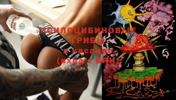 крисы Арсеньев